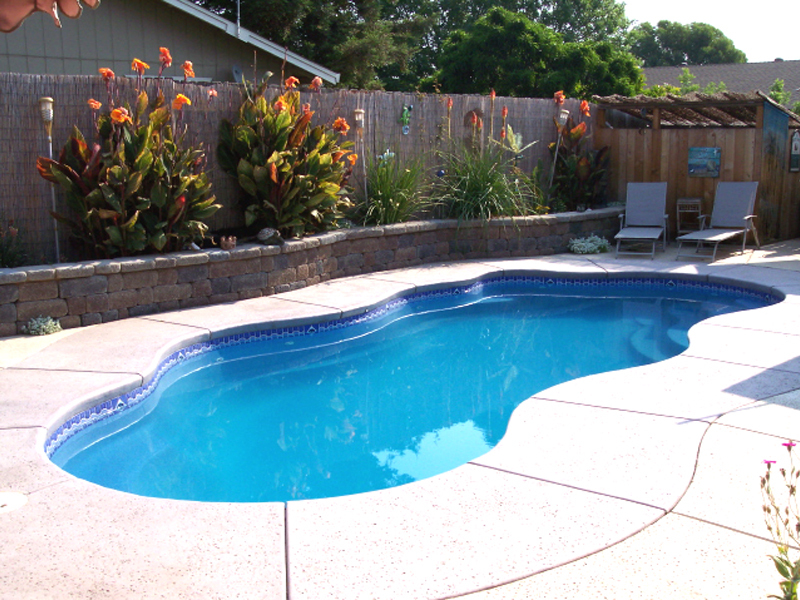 Design and Build Your Dream Swimming Pool