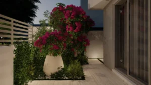 Process 3 Landscape Design